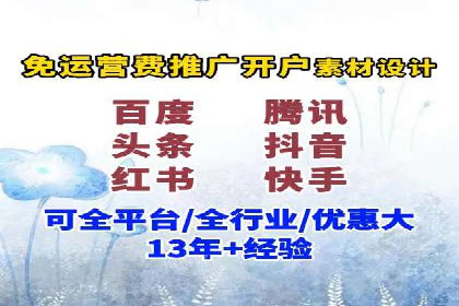 解析某某SEM服务公司的广告投放策略与效果评估